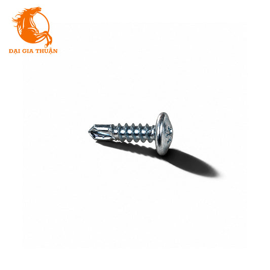 A single VÍT DÙ MẠ KẼM ĐIỆN PHÂN with a Phillips head, shown on a plain white background with a cast shadow. The orange logo for 'Đại Gia Thuận' is visible in the top-left corner.
