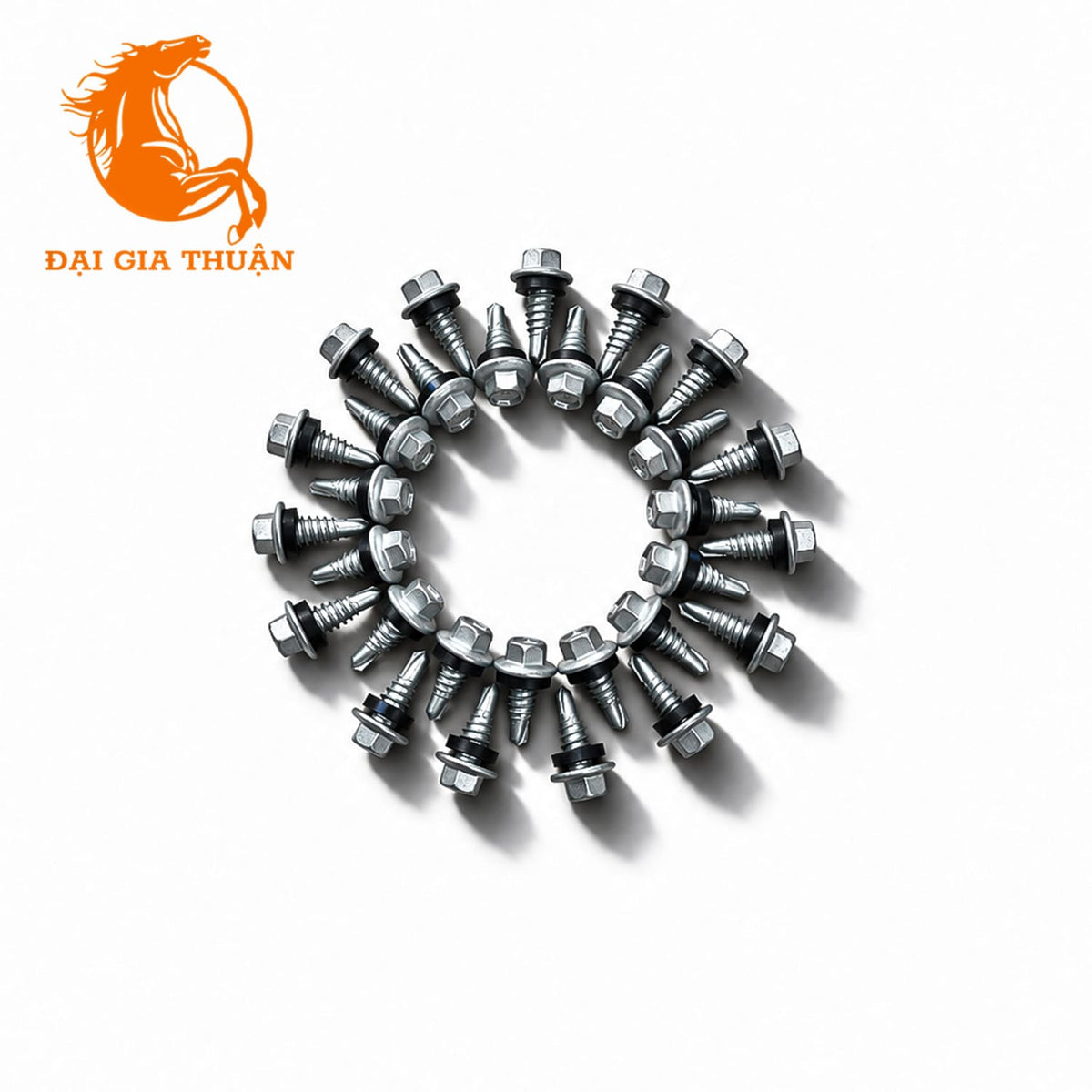 A set of VÍT RÚT DIỀM MẠ KẼM NHÚNG NÓNG RON EPDM in a circular pattern on a white background, with an orange 'Đại Gia Thuận' logo in the top-left corner.